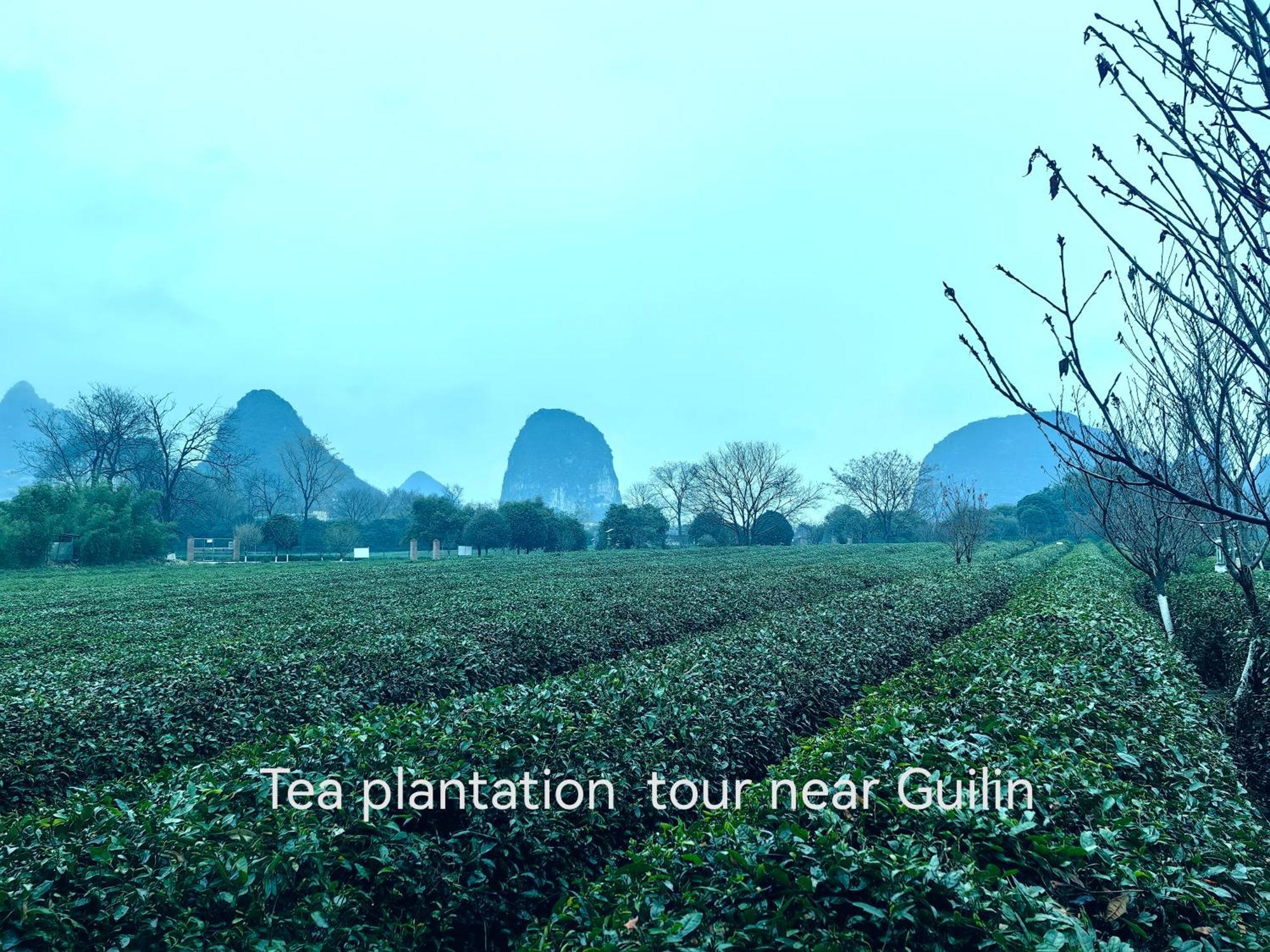 Guilin Village Creek Inn-Free Private Car Pick Up Station Stay 3 Nights Exterior photo