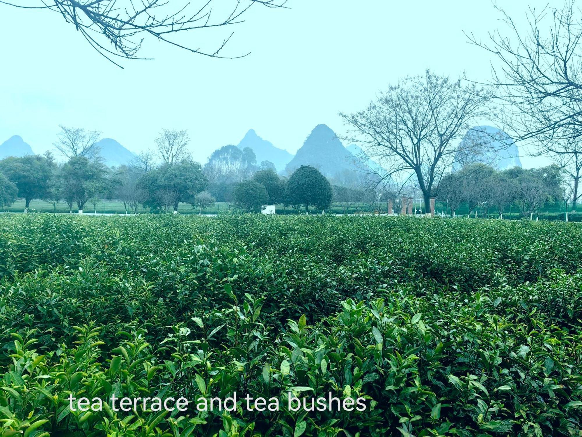 Guilin Village Creek Inn-Free Private Car Pick Up Station Stay 3 Nights Exterior photo